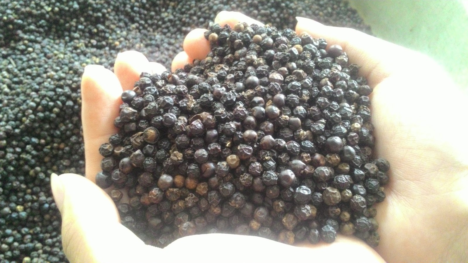 0,5 kg hạt tiêu khô Đồng nai