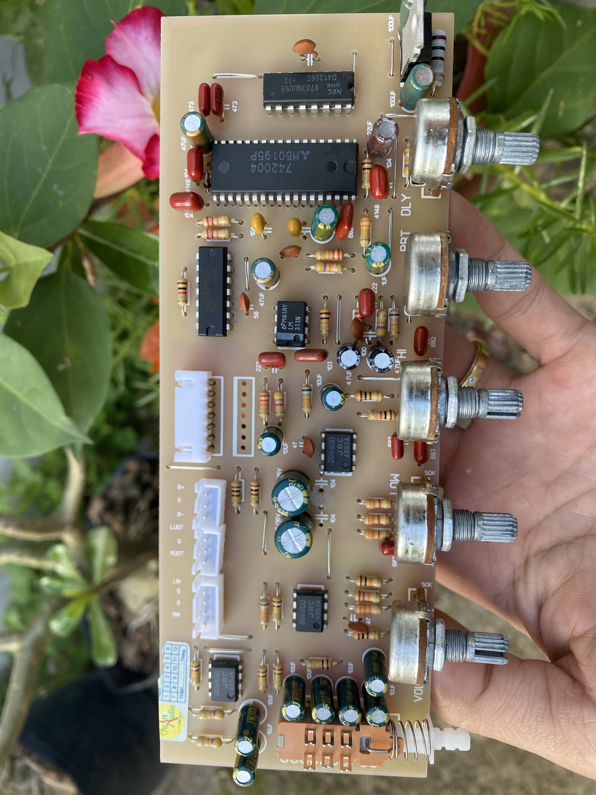 Mạch ECHO JANGUA 506N