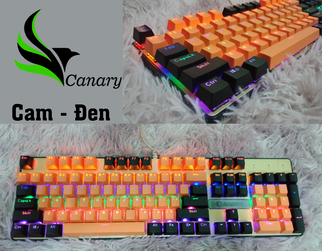 [HCM]Set nút bàn phím (Keycap) ABS xuyên led 104 nút