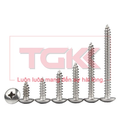 Vít bắt gỗ inox 201 chỏm cầu to M5 (Túi 10)