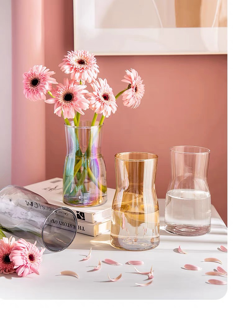 (giá dùng thử) Lọ hoa thủy tinh Daisy - Phong Cách Bắc Âu đơn giản