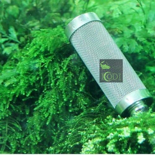 Bịt tép inox (phi 12)