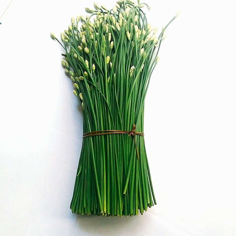 [HCM]Gói 1g hạt giống hẹ ăn bông