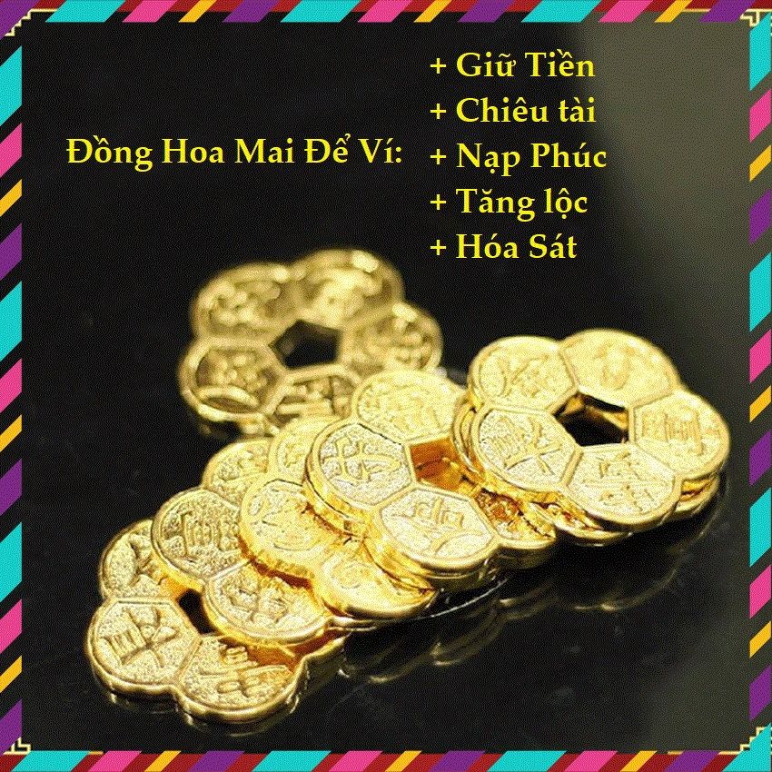 Đồng Xu Hoa Mai Kim Tiền