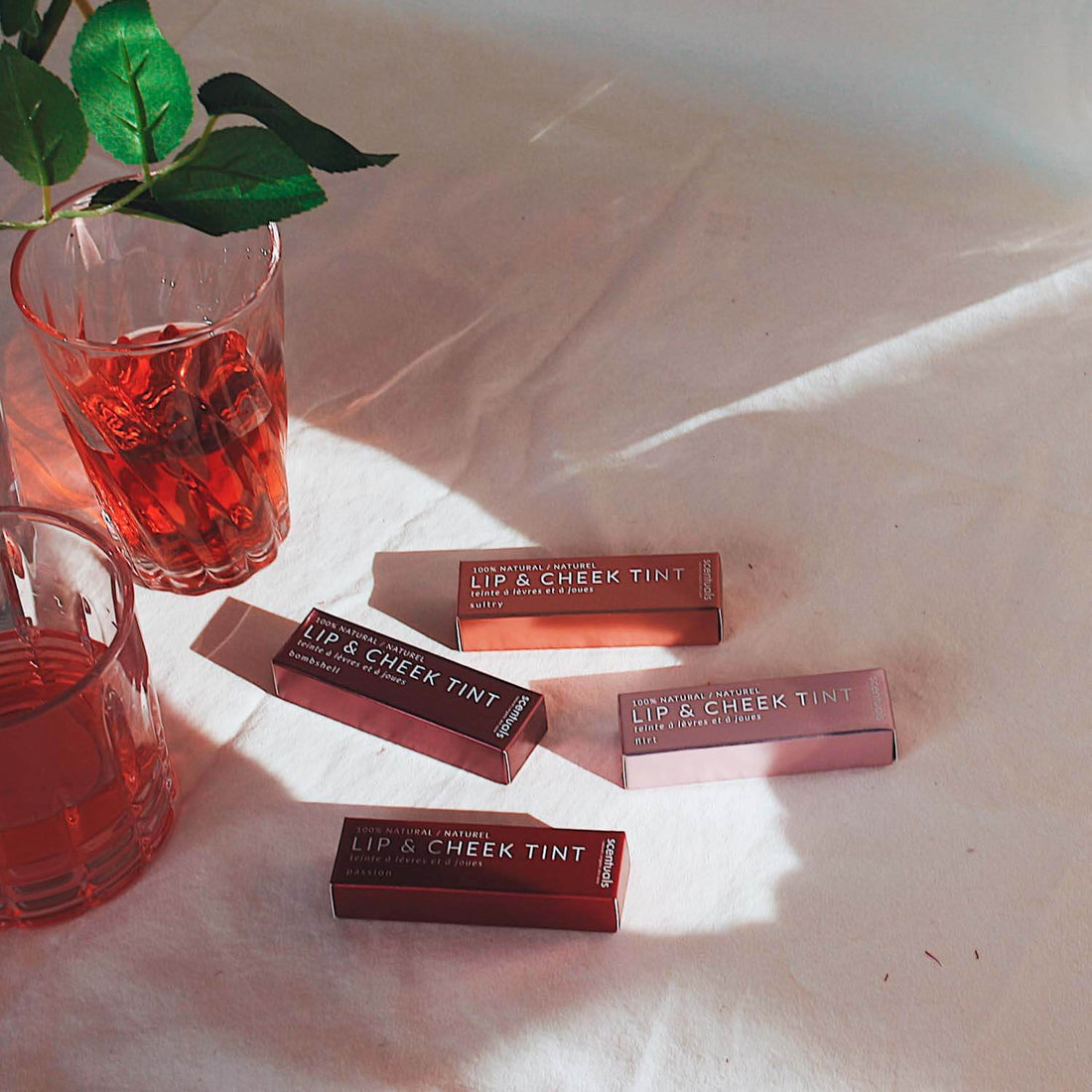 SON DƯỠNG MÔI MÀU RƯỢU ĐỎ Bombshell - Scentulas lip moisturizer/BOMBSHELL