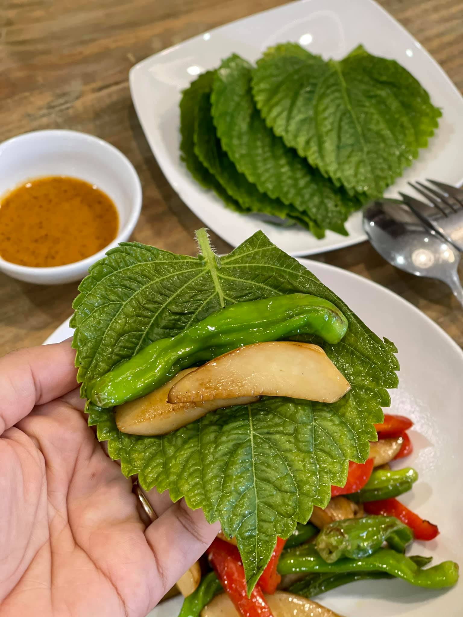 Hạt Giống Rau Thơm Mè, Lá Vừng Hàn Quốc (0.5gr)