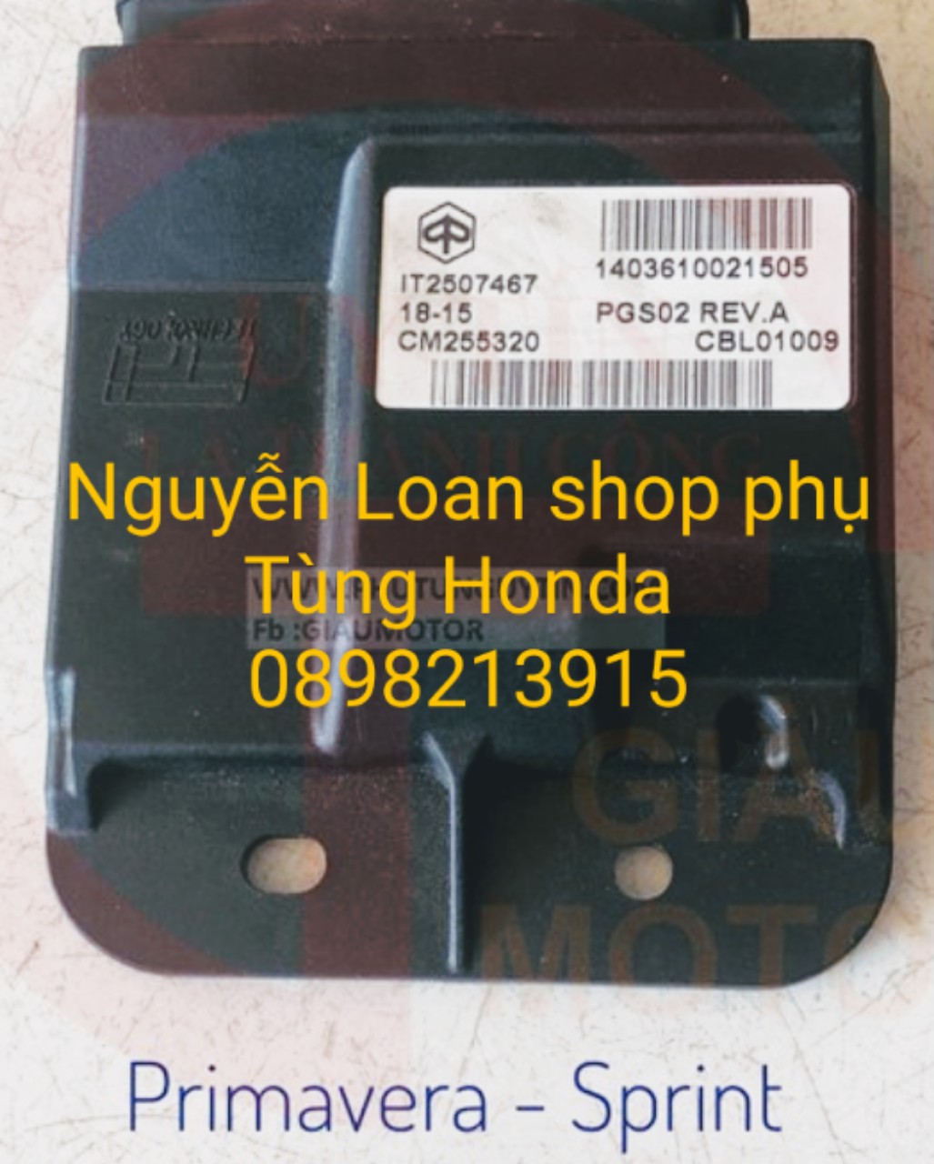 Ic cho xe Vespa Primavera , Sprint