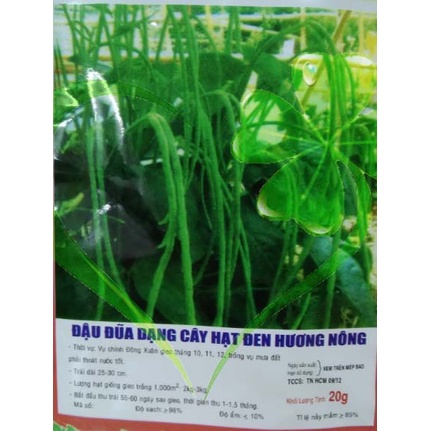 Hạt giống đậu đũa hạt đen dạng cây - Gói 20g