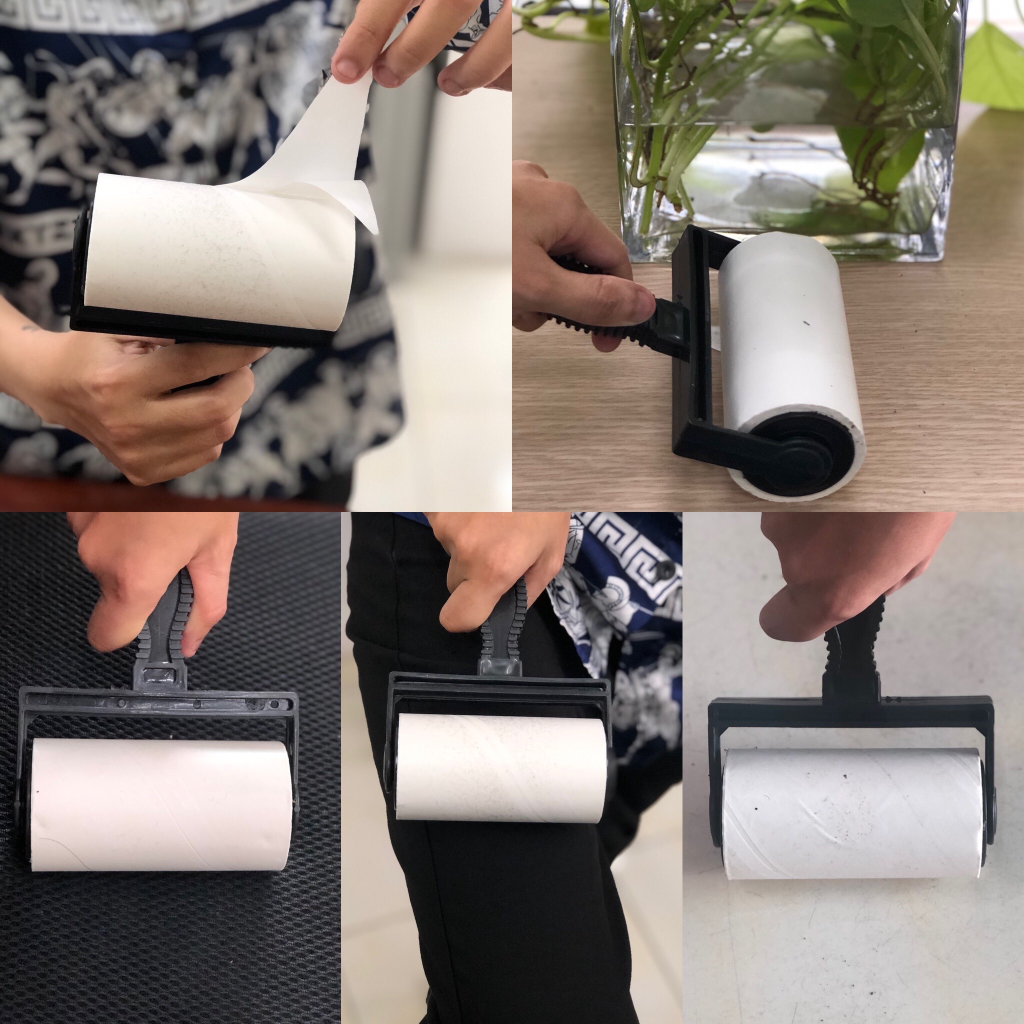 Cây lăn bụi 60 lớp
