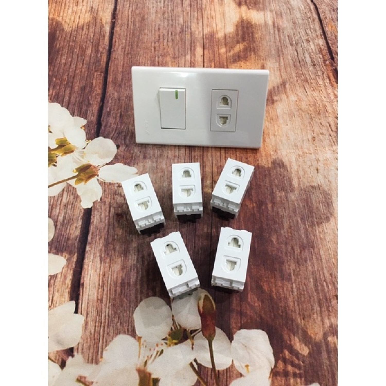 Ổ cắm 2 chấu hàng mpe