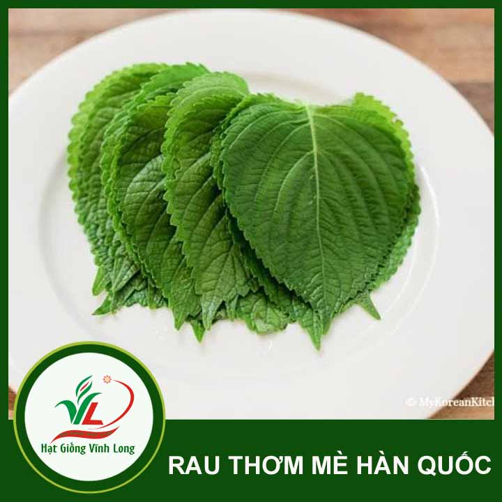 Hạt giống Rau thơm mè Hàn Quốc Sesame - 0,5g