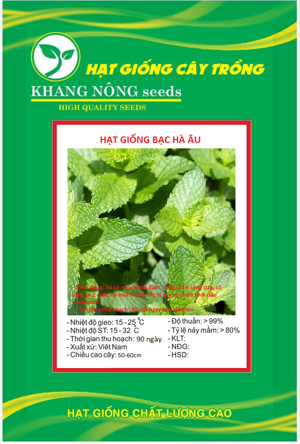 Hạt giống húng bạc hà âu - gói 100 hạt