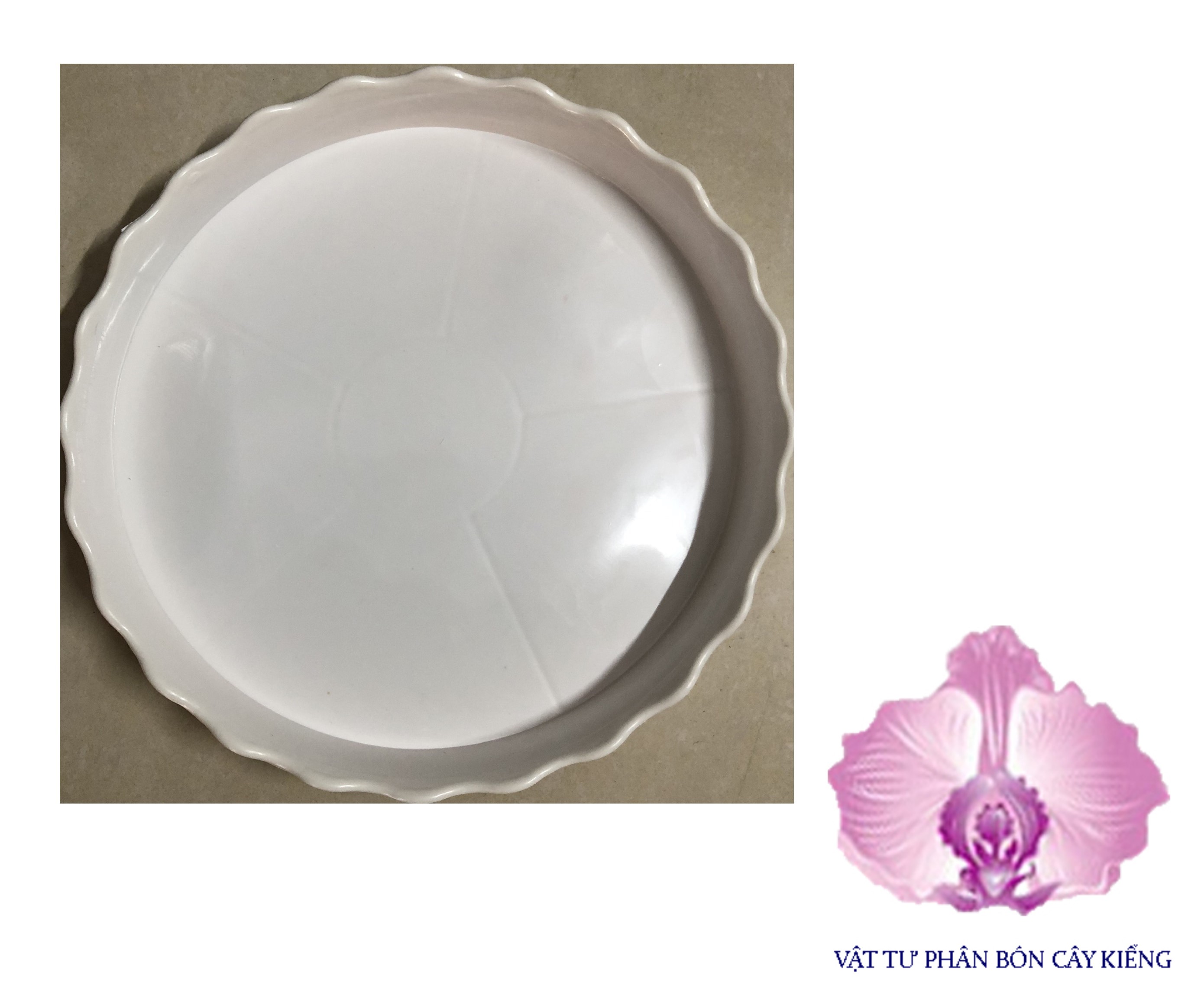 Đĩa lót chậu tròn khía 20cm - #051d#
