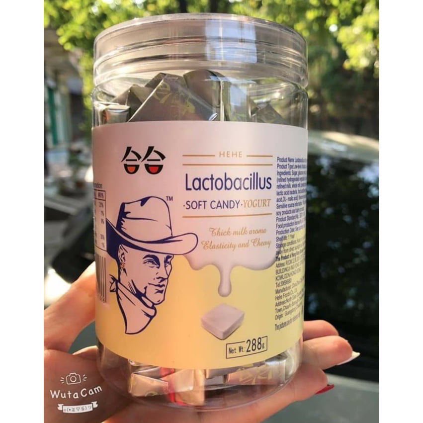 Kẹo sữa chua cao bồi dạng hũ 288g