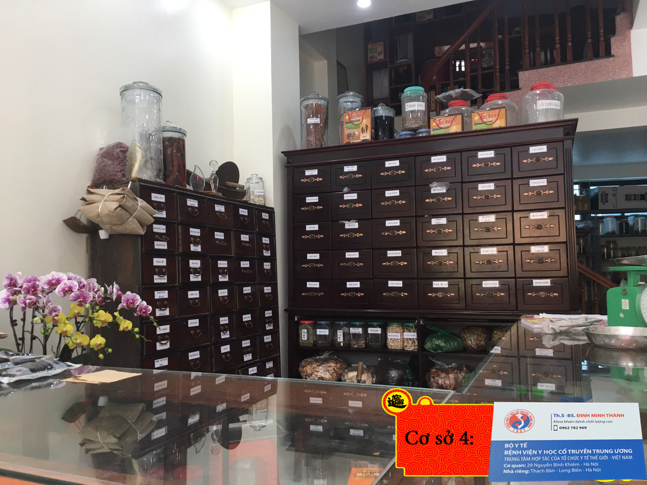1 cặp tắc kè khô