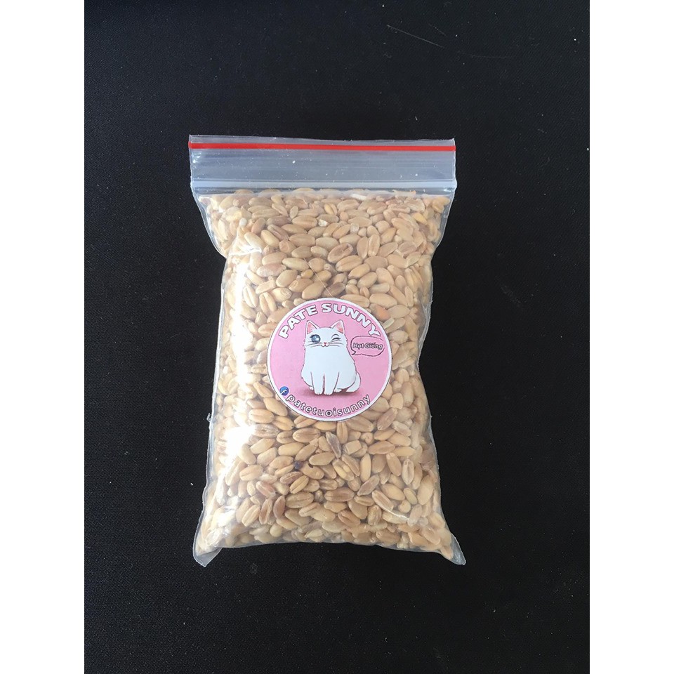 Hạt giống cỏ mèo 80g