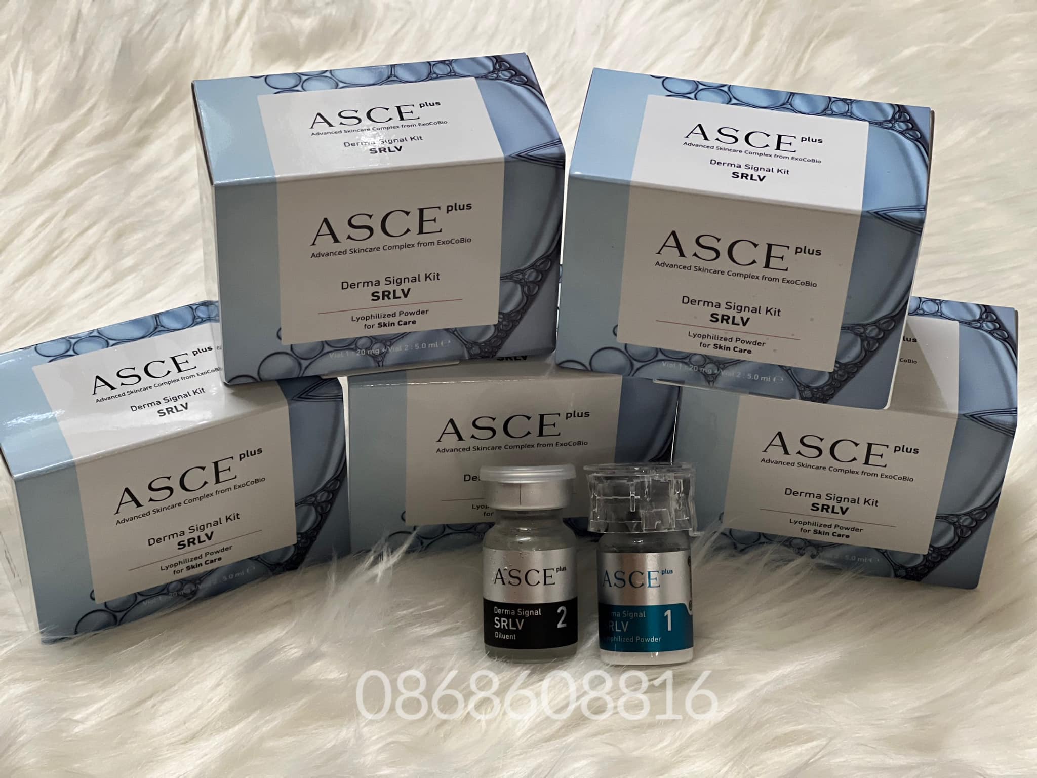Tinh chất meso Exosme ASCE ASCE Plus