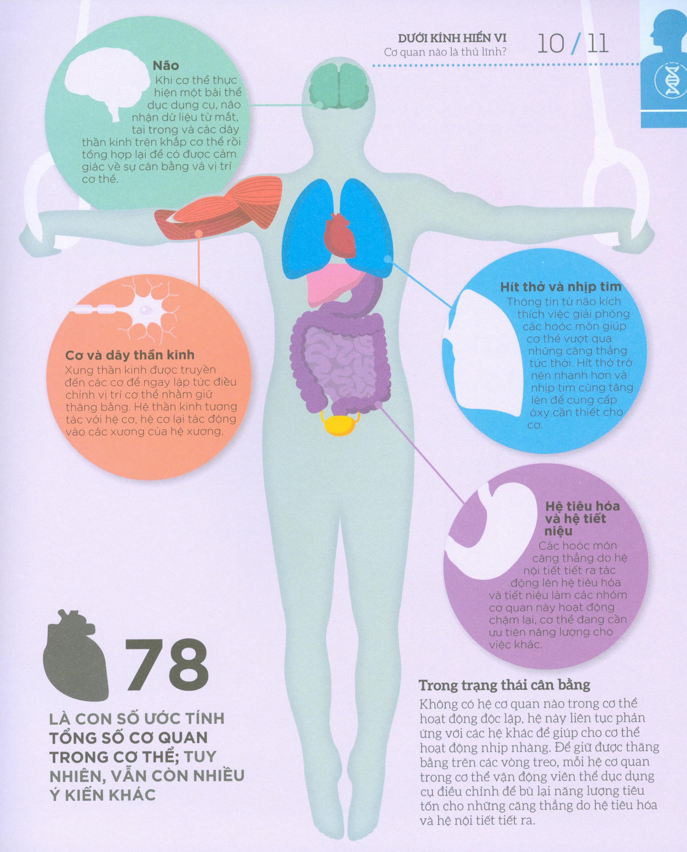 How The Body Works - Hiểu Hết Về Cơ Thể (BC)