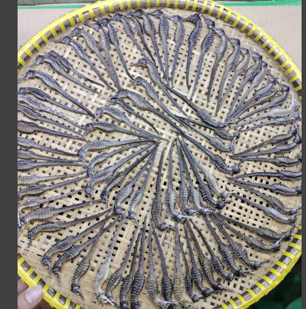 10con Cá ngựa khô (hải mã) 8-9cm