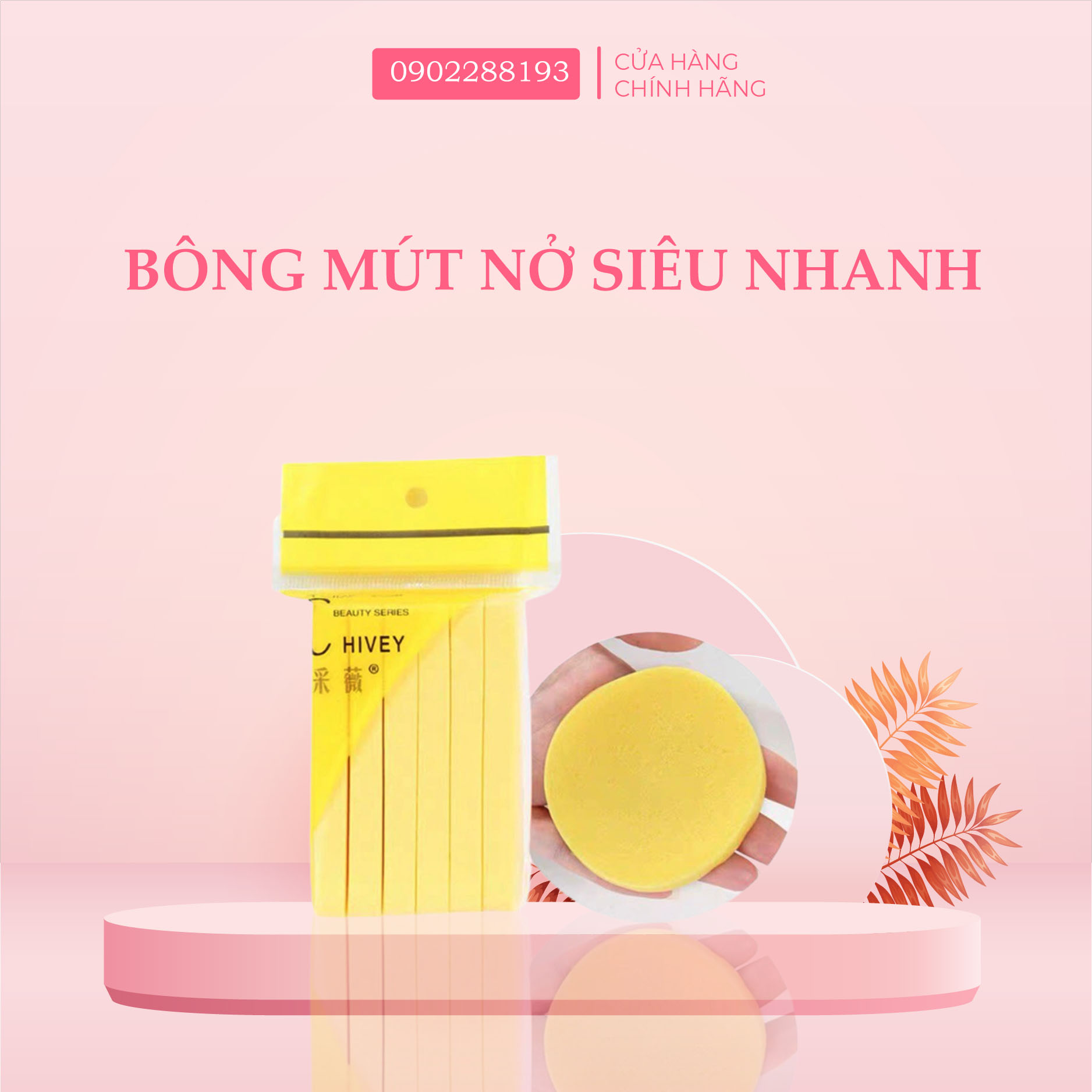 Bông mút nở lau rửa mặt - spa, thẩm mỹ viện