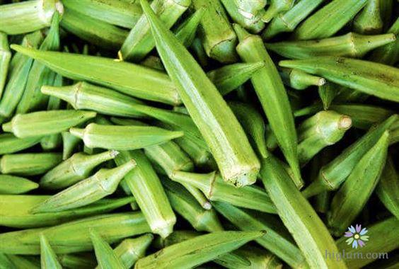 Hạt giống đậu bắp xanh - nảy mầm cực chuẩn