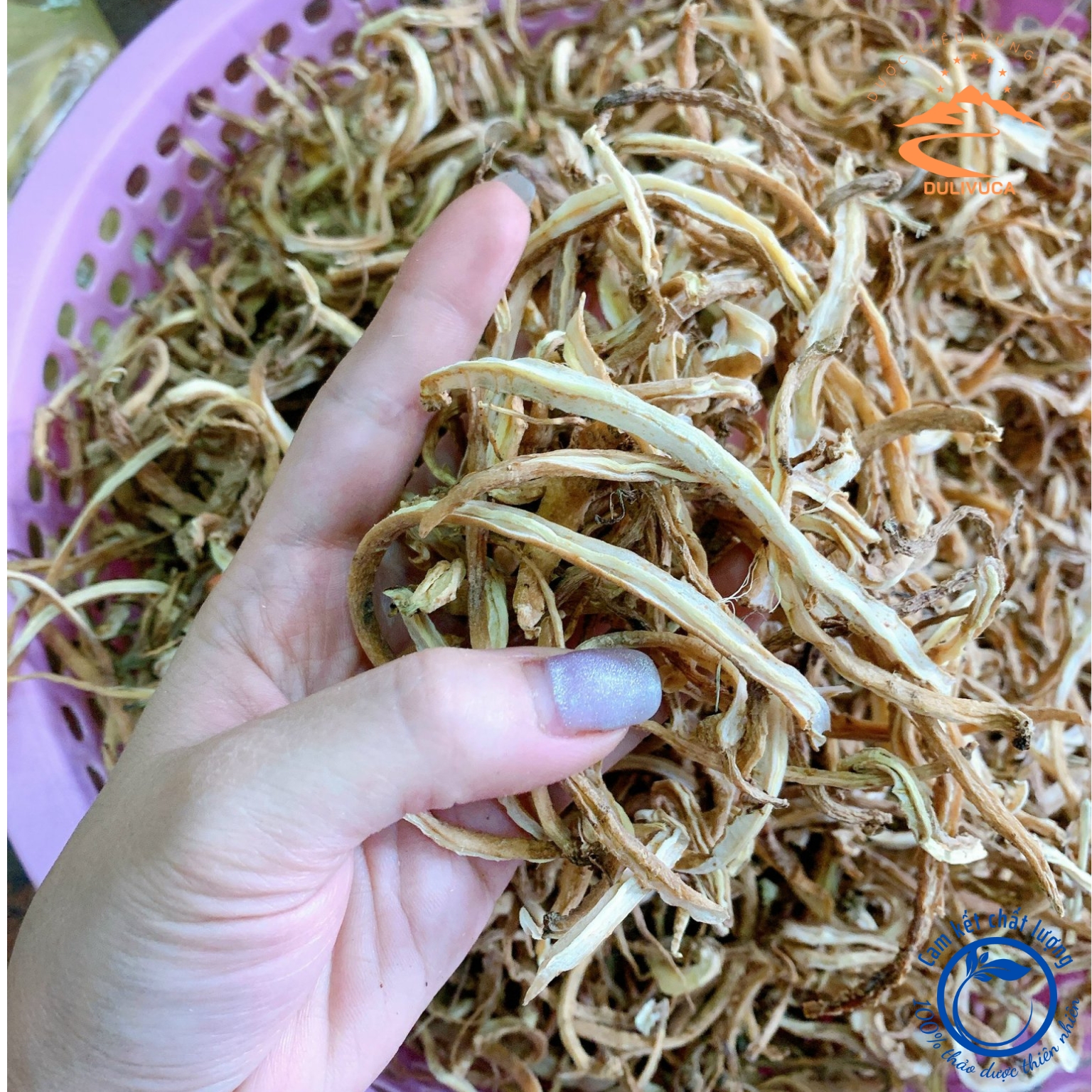 Đẳng sâm khô rừng Tây Bắc sấy khô từ củ đẳng sâm tươi loại 1 giúp tăng cường miễn dịch, ích khí, dưỡng huyết