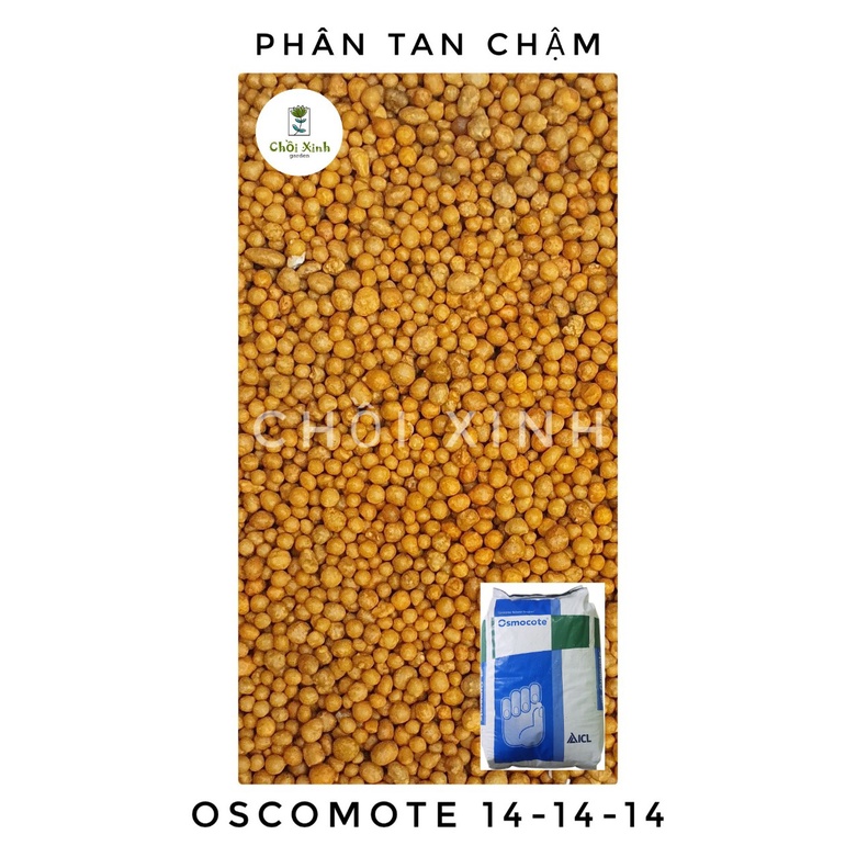 50g/100g/200g phân tan chậm npk 14 14 14 oscomote mỹ