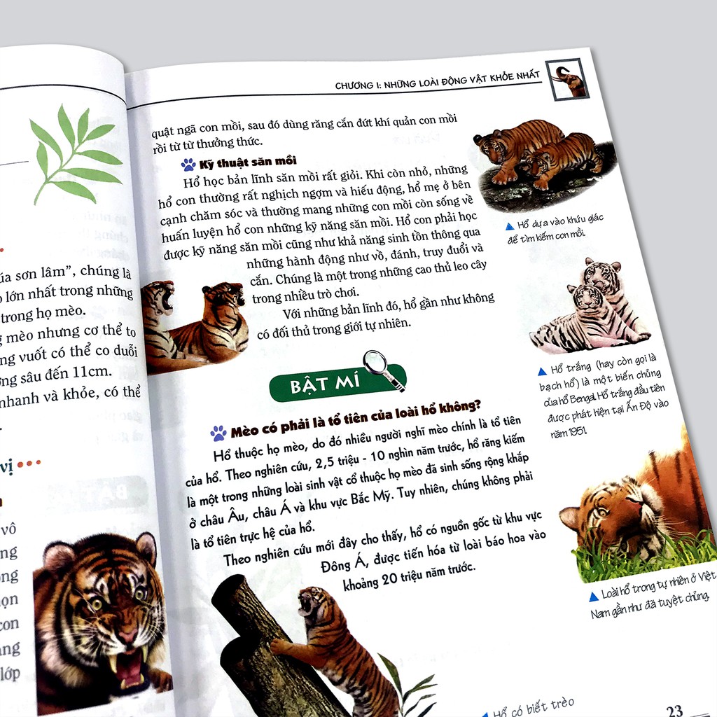 Sách - Khám phá bí ẩn thế giới tự nhiên (Bộ 5 quyển)