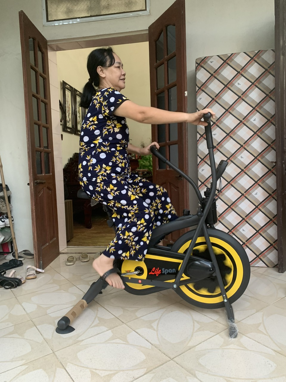 Xe đạp tập thể dục liên hoàn Life Span