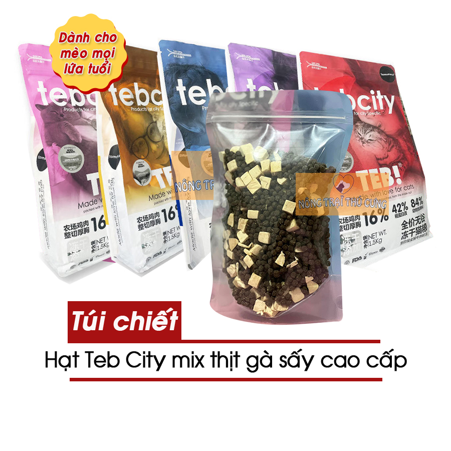 Hạt cho mèo mix thịt sấy teb city - đủ vị -