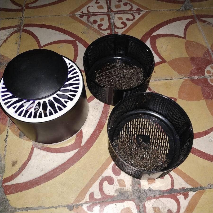 Đèn Bắt Muỗi Thông Minh Mosquito Killer Cắm Cổng Usb