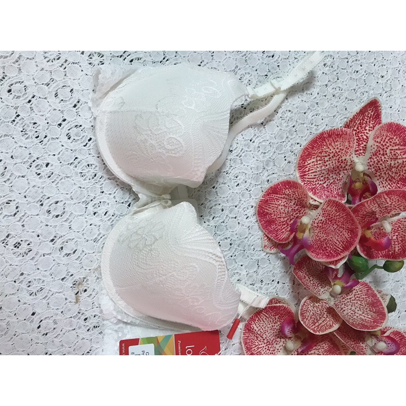 Áo ngực Lotus 404 có gọng, mút mỏng