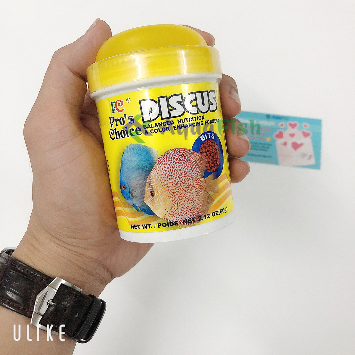 Thức Ăn Cho Cá Đĩa Pro'S Choice Discus Lọ 60g (Thức ăn chuyên dụng dành cho cá đĩa nhanh lớn, lên màu và không làm đục nước)