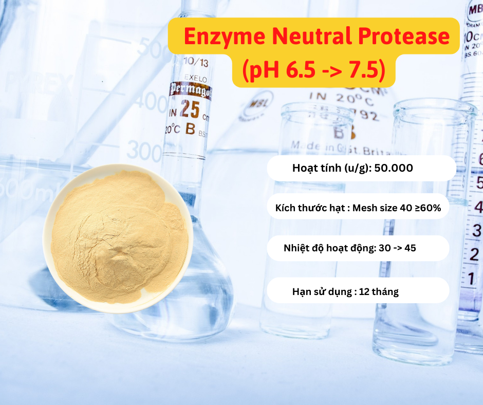 Men ủ phân cá  Neutral  Protease (Men xử lý mùi hôi ủ cá)