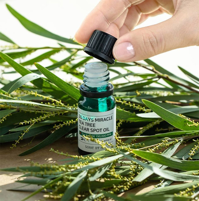 Chấm Mụn Some By Mi Tea Tree 30 Days Miracle Clear Spot Oil 10ml