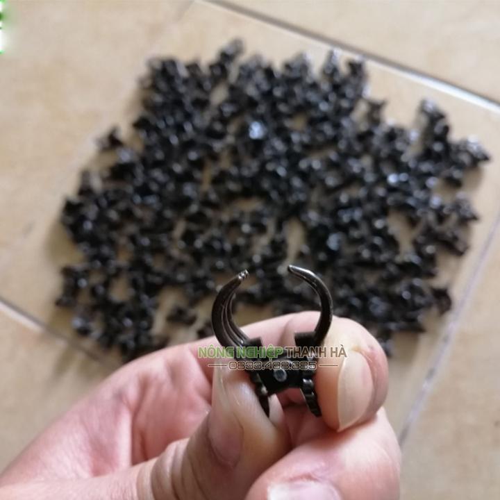 100 Kẹp bướm nhựa cố định lan