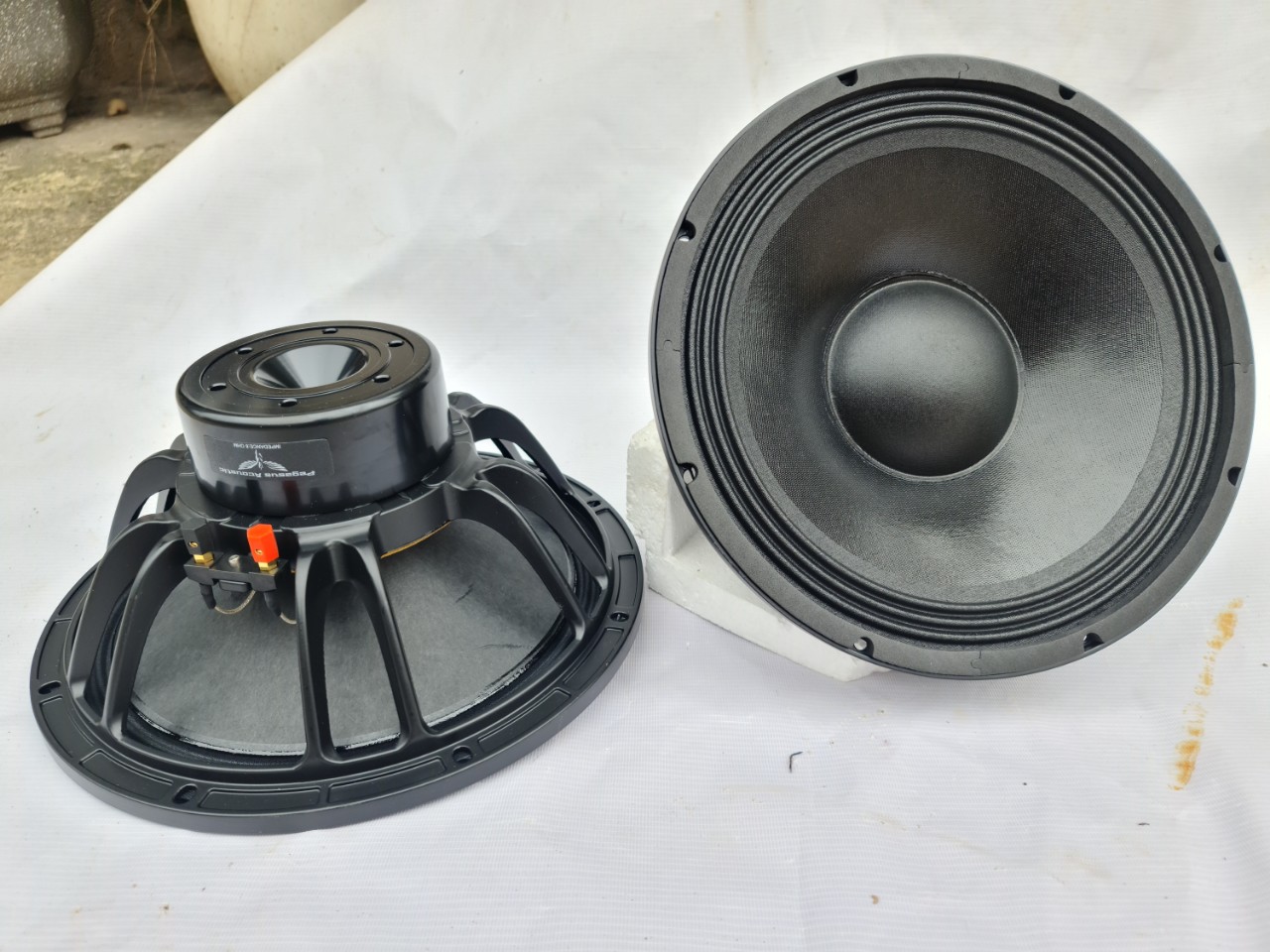 LOA BASS 30 NEO KHỐI PEGASUS AUCOUSTIC COIL 75 DÂY DẸT - GIÁ HAI LOA
