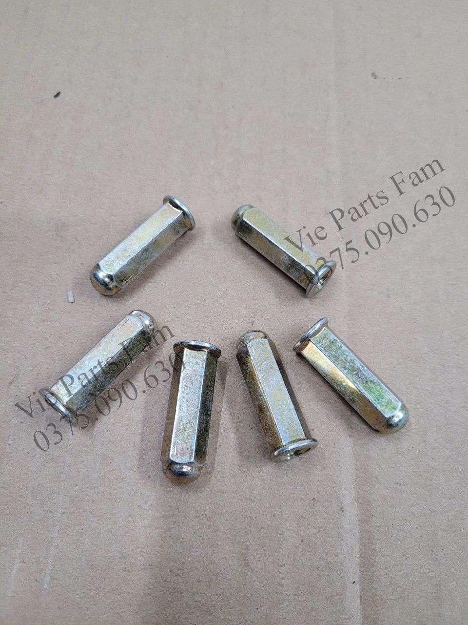 Ốc cổ bô Attila SYM (giá 1 con)