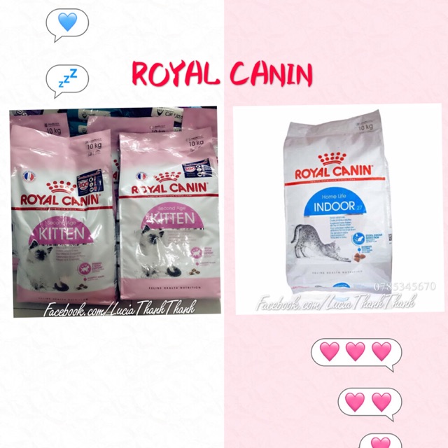 Thức ăn hạt khô Royal canin Kitten/Indoor 1 KG
