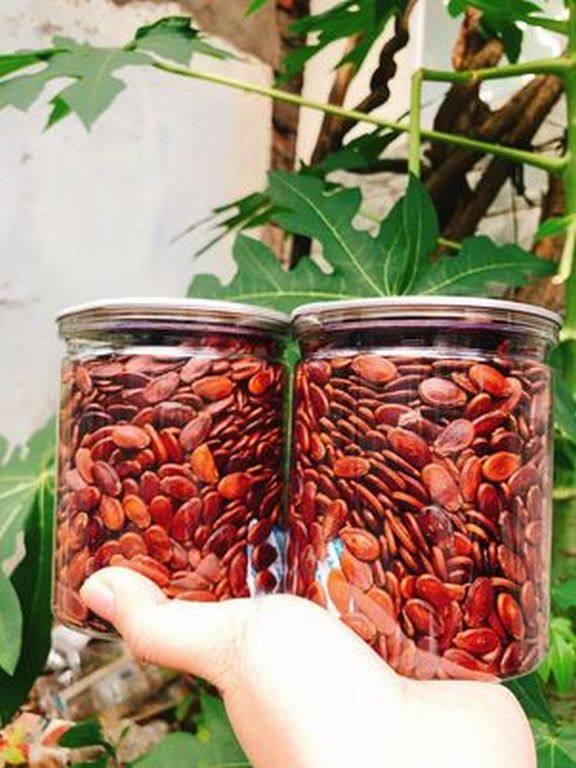Hạt dưa loại ngon chắc thịt lon pet 400g - cực ngon