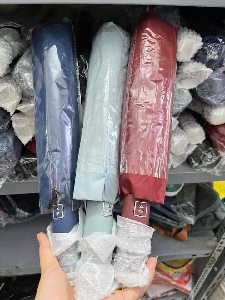 Ô dù tự động gấp gọn mẫu mới