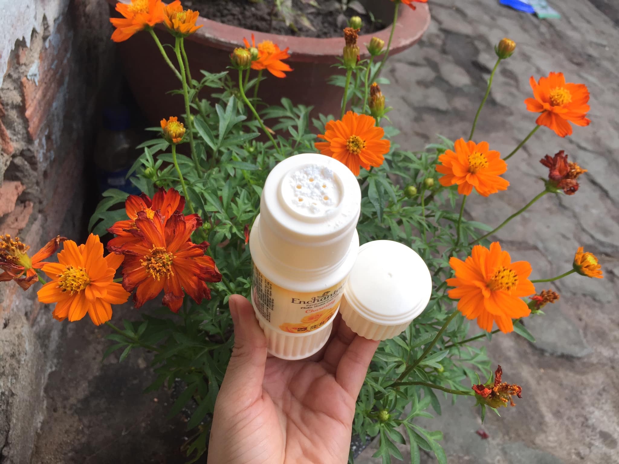 Combo Phấn Thơm cao cấp  Enchanteur Charming 50 gram
