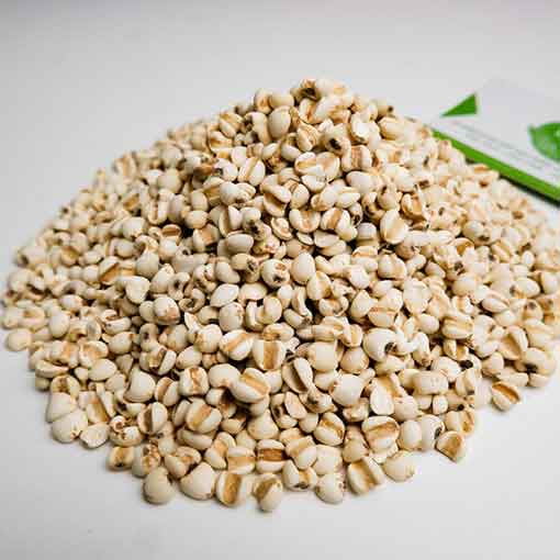 Y Dĩ , Ý Dĩ Nếp 1kg (Hạt Bobo, Y dĩ hữu cơ)