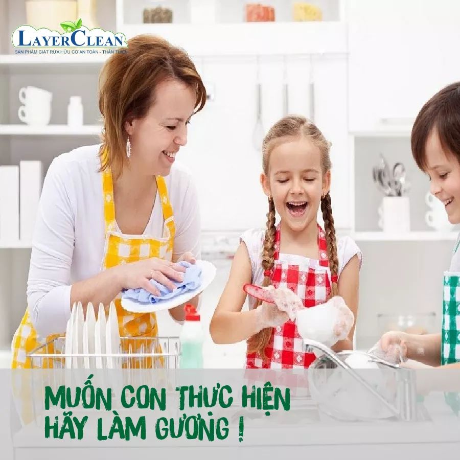 Nước rửa chén bát hữu cơ Layer Clean chai 300ml
