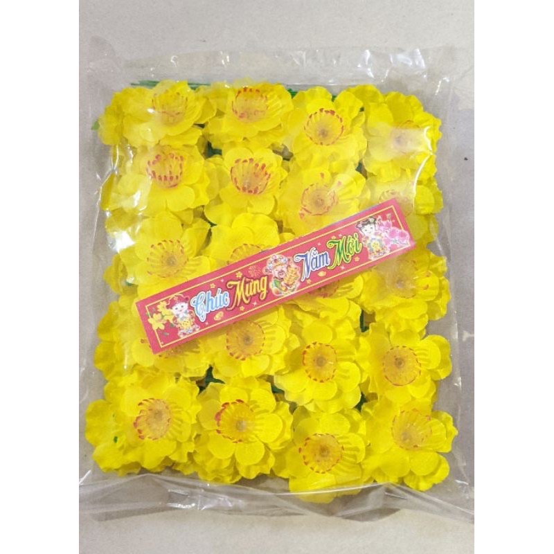 Hoa mai bịch 40 bông 1 bịch