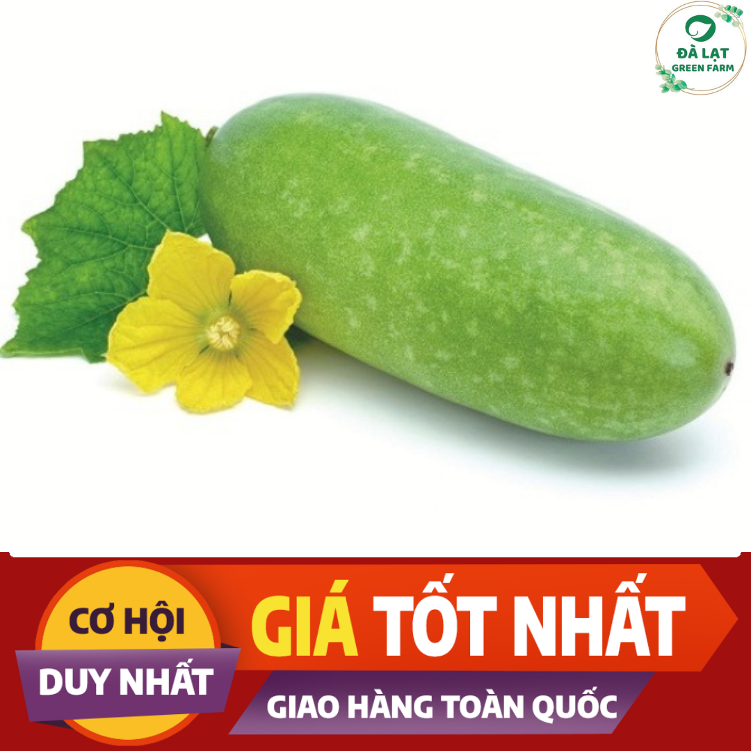 10H_HẠT GIỐNG BÍ ĐAO CHANH SIÊU TRÁI