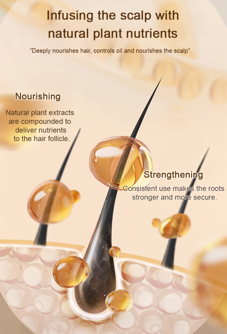 Anti-hair loss shampoo Ginger plant extract shampoo