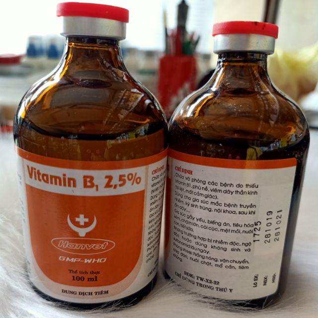 Vitamin B1 hanvet (100ml) - chỉ dùng trong thú y