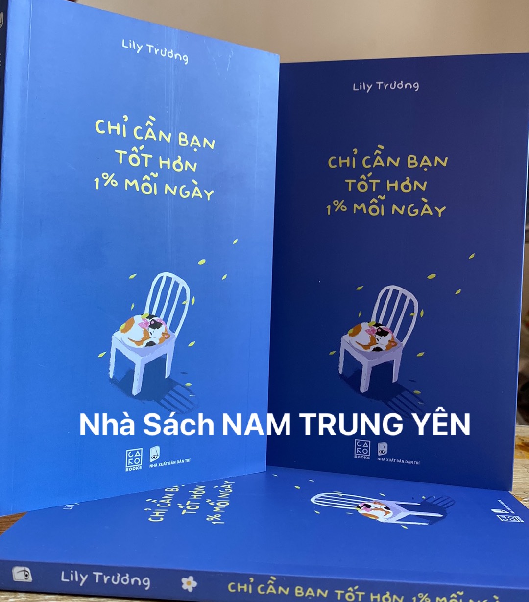 Sách - chỉ cần bạn tốt hơn 1% mỗi ngày - lily trương
