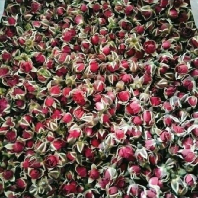 100g nụ hồng khô